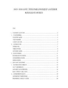 2025-2030水利工程防洪減災(zāi)體系建設(shè)與水資源調(diào)配優(yōu)化技術(shù)分析報告