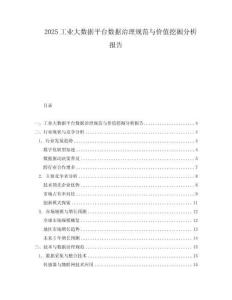 2025工业大数据平台数据治理规范与价值挖掘分析报告