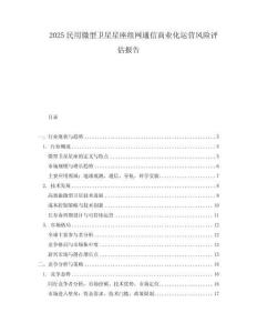 2025民用微型衛(wèi)星星座組網通信商業(yè)化運營風險評估報告