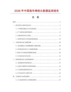 2026年中國(guó)拖布棉線頭數(shù)據(jù)監(jiān)測(cè)報(bào)告