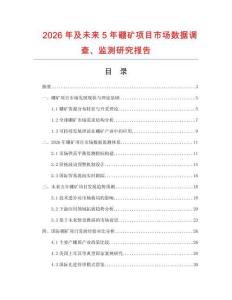 2026年及未來5年硼礦項目市場數據調查、監(jiān)測研究報告