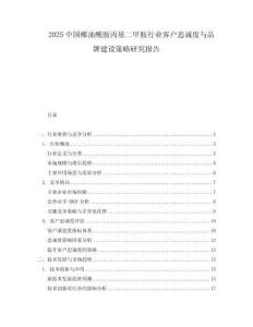 2025中國椰油酰胺丙基二甲胺行業客戶忠誠度與品牌建設策略研究報告