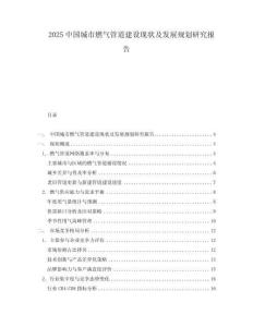 2025中国城市燃气管道建设现状及发展规划研究报告