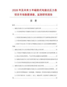2026年及未來5年磁助式電接點壓力表項目市場數據調查、監測研究報告