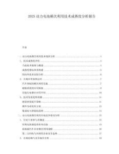 2025動力電池梯次利用技術成熟度分析報告