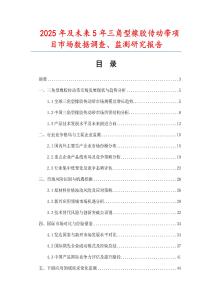 2025年及未來5年三角型橡膠傳動帶項目市場數據調查、監測研究報告