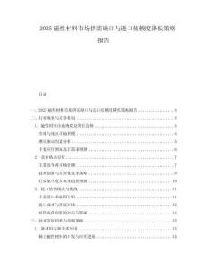 2025磁性材料市场供需缺口与进口依赖度降低策略报告