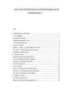 2025-2030智慧園區建設運營管理現狀挑戰分析投資策略規劃報告