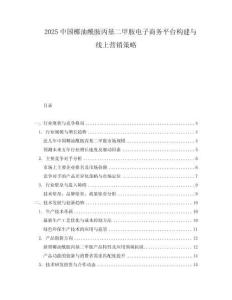 2025中國(guó)椰油酰胺丙基二甲胺電子商務(wù)平臺(tái)構(gòu)建與線上營(yíng)銷(xiāo)策略