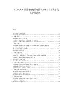 2025-2030新型電池充放電技術突破與市場需求競爭發展趨勢