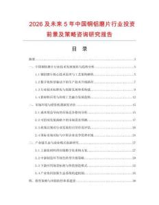 2026及未來5年中國銅鋁磨片行業投資前景及策略咨詢研究報告
