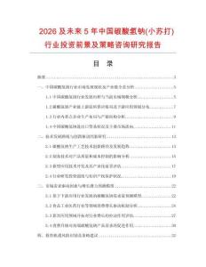 2026及未來5年中國碳酸氫鈉(小蘇打)行業投資前景及策略咨詢研究報告