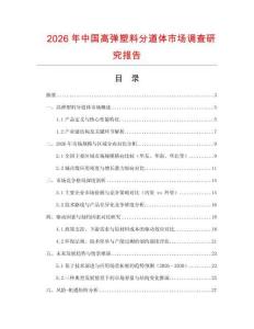 2026年中國高彈塑料分道體市場調查研究報告