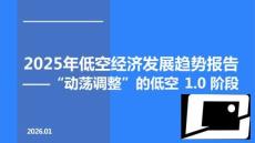 2025年低空經濟發展趨勢報告：“動蕩調整”的低空1.0階段