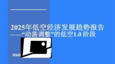 2025年低空經濟發展趨勢報告：“動蕩調整”的低空1.0階段