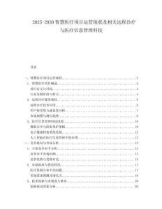 2025-2030智慧醫(yī)療項(xiàng)目運(yùn)營現(xiàn)狀及相關(guān)遠(yuǎn)程診療與醫(yī)療信息管理科技