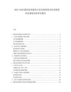 2025-2030通信技術(shù)服務(wù)行業(yè)市場(chǎng)供需分析及投資評(píng)估規(guī)劃分析研究報(bào)告