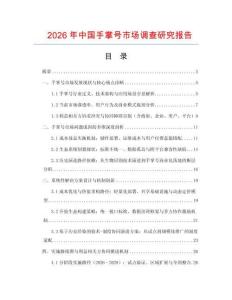 2026年中國手掌號市場調查研究報告