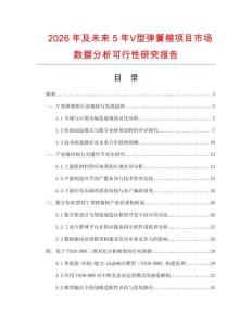 2026年及未來5年Ⅴ型彈簧楦項目市場數據分析可行性研究報告