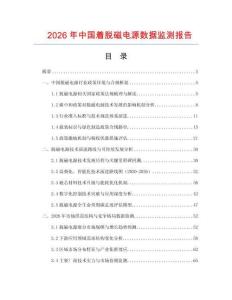 2026年中國著脫磁電源數(shù)據(jù)監(jiān)測報告