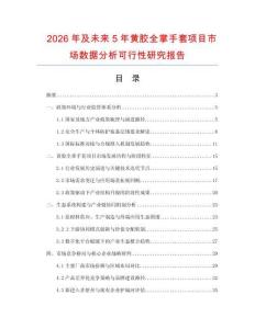 2026年及未來5年黃膠全掌手套項(xiàng)目市場數(shù)據(jù)分析可行性研究報告