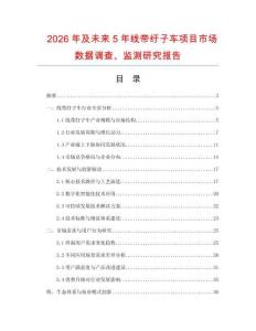 2026年及未來5年線帶紆子車項目市場數(shù)據(jù)調(diào)查、監(jiān)測研究報告