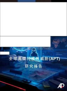 2025年度全球?級持續性威脅(APT) 研究報告