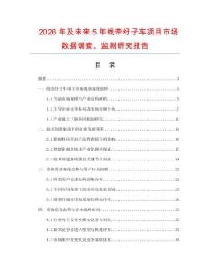 2026年及未來5年線帶紆子車項目市場數(shù)據(jù)調(diào)查、監(jiān)測研究報告