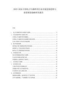 2025-2030中國電子掃描陣列行業市場發展趨勢與前景展望戰略研究報告