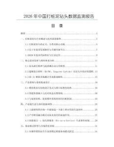 2026年中國(guó)打樁泥鉆頭數(shù)據(jù)監(jiān)測(cè)報(bào)告