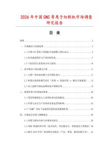 2026年中國(guó)CNC等離子切割機(jī)市場(chǎng)調(diào)查研究報(bào)告