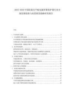 2025-2030中國防藍(lán)光平板電腦屏幕保護(hù)器行業(yè)市場發(fā)展趨勢與前景展望戰(zhàn)略研究報告