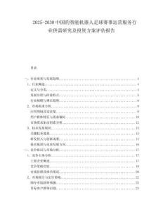 2025-2030中國的智能機器人足球賽事運營服務行業供需研究及投資方案評估報告