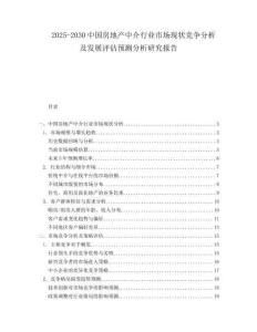 2025-2030中國房地產(chǎn)中介行業(yè)市場(chǎng)現(xiàn)狀競(jìng)爭(zhēng)分析及發(fā)展評(píng)估預(yù)測(cè)分析研究報(bào)告