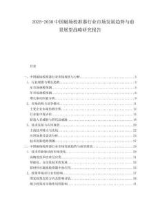 2025-2030中國磁場校準器行業市場發展趨勢與前景展望戰略研究報告