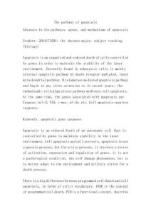 2025-2030吉爾吉斯斯坦礦產資源開發與生態環境保護研究報告