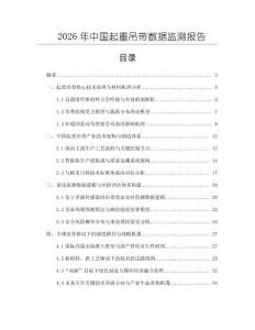 2026年中國起重吊帶數(shù)據(jù)監(jiān)測報告