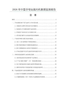 2026年中國手電鉆拋光機數據監測報告