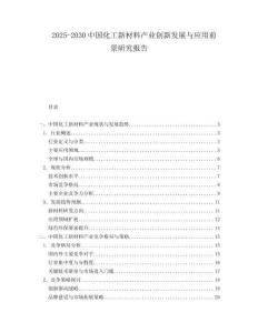 2025-2030中國化工新材料產業創新發展與應用前景研究報告