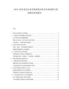 2025-2030家電行業(yè)市場深度分析及未來趨勢與商業(yè)模式研究報告