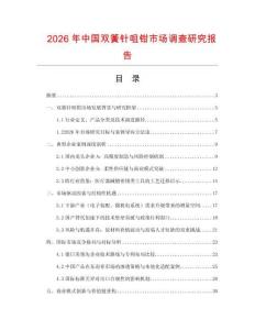 2026年中国双簧针咀钳市场调查研究报告