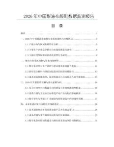 2026年中國耐油布膠鞋數(shù)據(jù)監(jiān)測報告