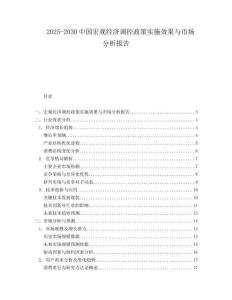 2025-2030中國宏觀經濟調控政策實施效果與市場分析報告