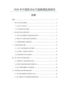 2026年中國彩點長方盤數據監測報告