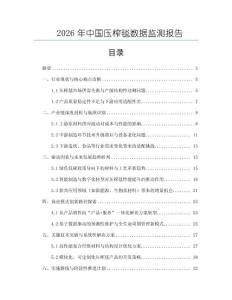 2026年中國壓榨毯數據監測報告