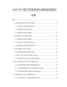 2026年中國可變角度探頭數據監測報告