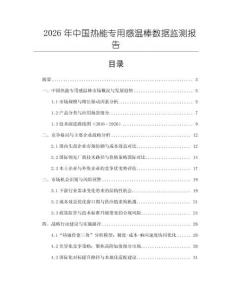 2026年中国热能专用感温棒数据监测报告
