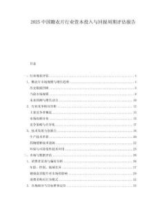 2025中國糖衣片行業(yè)資本投入與回報周期評估報告
