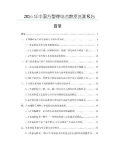 2026年中国方型锂电池数据监测报告