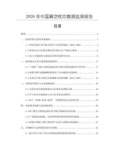 2026年中国真空枕芯数据监测报告
